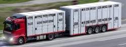 Transport d'animaux Roissy